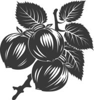 silhouet hazelnoot fruit zwart kleur enkel en alleen vector