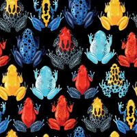 naadloos patroon met levendig tropisch kikkers Aan zwart achtergrond vector