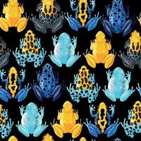 naadloos patroon met levendig tropisch kikkers Aan zwart achtergrond vector