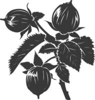 silhouet hazelnoot fruit zwart kleur enkel en alleen vector