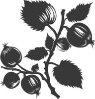 silhouet hazelnoot fruit zwart kleur enkel en alleen vector