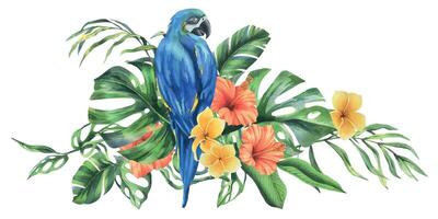 tropisch palm bladeren, monstera en bloemen van plumeria, hibiscus, helder sappig met blauw Geel ara papegaai. hand- getrokken waterverf botanisch illustratie. samenstelling geïsoleerd van de achtergrond. vector