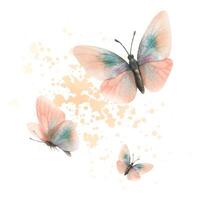 vliegend vlinders, delicaat, elegant in perzik dons en turkoois kleur. realistisch hand getekend waterverf illustratie. samenstelling geïsoleerd van de achtergrond. voor Dames s dag, moeder s dag, verjaardag vector