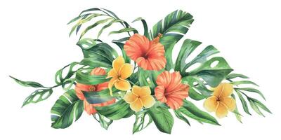 tropisch palm bladeren, monstera en bloemen van plumeria, hibiscus, helder sappig. hand- getrokken waterverf botanisch illustratie. samenstelling geïsoleerd van de achtergrond. vector