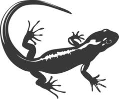 silhouet salamander dier zwart kleur enkel en alleen vector