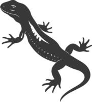 silhouet salamander dier zwart kleur enkel en alleen vector