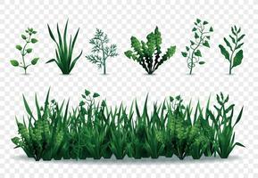 groene grassen set vector