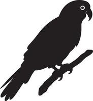 papegaai silhouet illustratie wit achtergrond vector