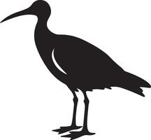 albatros silhouet illustratie wit achtergrond vector