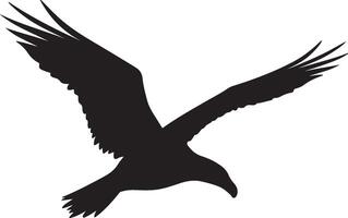 albatros silhouet illustratie wit achtergrond vector