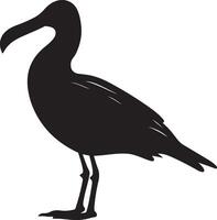 albatros silhouet illustratie wit achtergrond vector