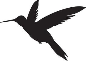 kolibrie silhouet illustratie wit achtergrond vector
