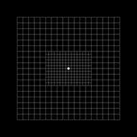 amsler rooster type met centraal pleinen verdeeld in 0,5 mate vierkanten. grafisch test naar detecteren visie gebreken. oogheelkundig diagnostisch hulpmiddel. vector