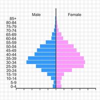 bevolking piramide sjabloon. monster van leeftijd structuur diagram geïsoleerd Aan wit achtergrond. bevolking distributie door mannetje en vrouw groepen met verschillend leeftijd. vector