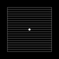 amsler rooster met centraal wit punt en horizontaal lijnen Aan zwart achtergrond. sjabloon van grafisch test naar detecteren metamorfopsie. oogheelkundig diagnostisch hulpmiddel. vector