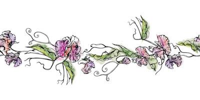 hand- getrokken waterverf inkt illustratie botanisch bloemen bladeren. zoet eeuwigdurend erwt, wikke winde peulvrucht. naadloos banier geïsoleerd Aan wit achtergrond. ontwerp bruiloft, liefde kaarten, bloemen winkel vector