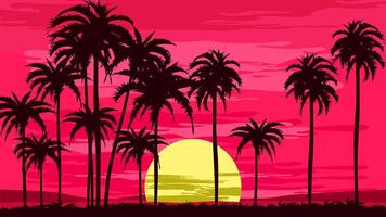 palm bomen in de zonsondergang vector