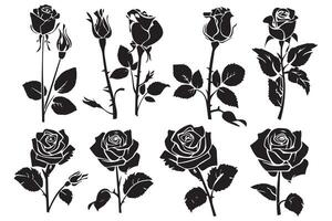 reeks van zwart silhouetten van decoratief vers bloeiende roos met stoom- en bladeren. hand- getrokken schets bloem icoon monochroom illustraties geïsoleerd Aan wit achtergrond vector