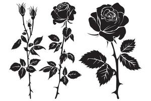 reeks van drie zwart silhouetten van roos bloemen geïsoleerd Aan een wit achtergrond. minimalistische hand- getrokken schetsen. voorraad illustratie vector