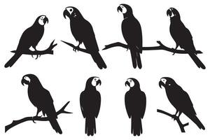 papegaai silhouetten ontwerp vector