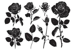 zwart slhoutte reeks van roos met bladeren bloem zwart silhoutte wit achtergrond vector