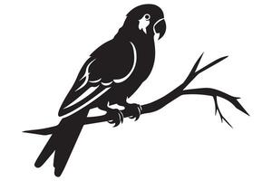 papegaai vogel silhouet zwart vector