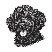 poedel hond - een tevreden poedel hond gezicht illustratie in zwart en wit vector