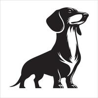 edele teckel hond illustratie in zwart en wit vector