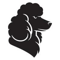 poedel hond - een streng poedel hond gezicht illustratie in zwart en wit vector