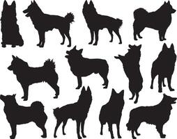 schipperke honden silhouet Aan wit achtergrond vector