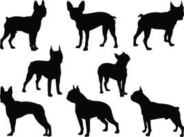 Boston terriër honden silhouet Aan wit achtergrond vector