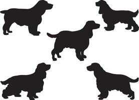 cocker spaniel honden silhouet Aan wit achtergrond vector