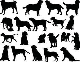 labrador honden silhouet Aan wit achtergrond vector