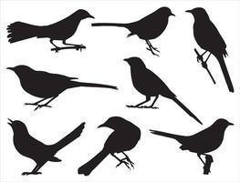 spottend vogel silhouet Aan wit achtergrond vector