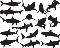 haai silhouet Aan wit achtergrond vector