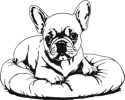 aanbiddelijk Frans bulldog puppy loungen comfortabel Aan een knus kussen vector