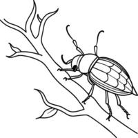 kever kever kleur Pagina's. kever kever schets voor kleur boek. insect lijn kunst. vector