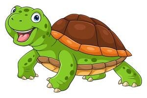 cartoon grappige schildpad geïsoleerd op witte achtergrond vector
