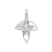 een doorlopende lijntekening schoonheid verse amorphophallus titanum voor thuis muur decor art poster print. decoratieve titan aronskelk bloem voor nationaal park. moderne enkele lijn tekenen ontwerp vectorillustratie vector