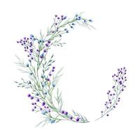 Purper, blauw bloemen en aartje. lente, zomer groen kruiden. krans van weide, Woud wilde bloemen. bloemen kader van bloeiend veld- planten. waterverf illustratie met kopiëren ruimte voor tekst. vector