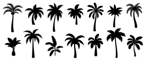 zwart palm silhouetten. tropisch bomen schaduwen. verscheidenheid strand palmen met bladeren. oase, paradijs, eiland, toevlucht, vakantie monochroom symbolen geïsoleerd Aan wit achtergrond. reeks vector