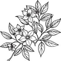 illustratie van bloemen en bladeren in zwart en wit voor kleur boek vector