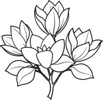 magnolia bloem boeket zwart en wit bloem vector