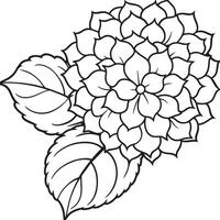 hortensia bloem. zwart en wit illustratie voor kleur boek. vector