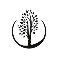 van de natuur embleem berk boom logo voor Woud behoud inspanningen vector