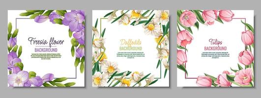 reeks van banier Sjablonen met voorjaar bloemen. ansichtkaart, poster met tulpen, narcissen, fresia. illustratie van delicaat bloemen in tekenfilm stijl voor kaart, uitnodiging, achtergrond, enz. vector