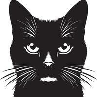 kat gezicht, silhouetten , zwart kleur silhouet vector
