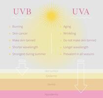 de verschil tussen uvb en uva vector