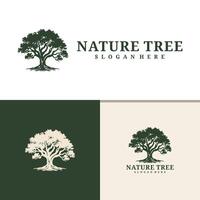 boom logo ontwerp . natuur bomen illustratie. vector
