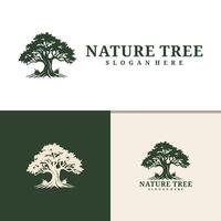 boom logo ontwerp . natuur bomen illustratie. vector